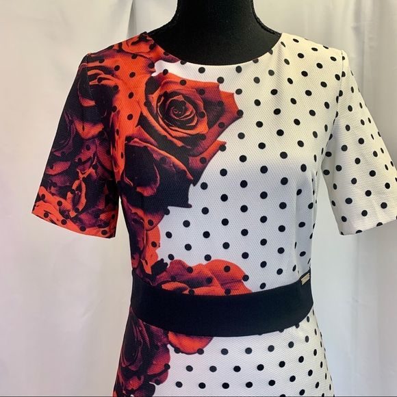 Copcapy Red white polkadot rose floral short sleeve maxi dress Sz 38 NWOT - Picture 2 of 14